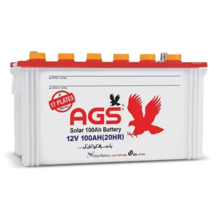 AGS WS160 Battery 12V 100Ah 17 Plate Original Dry Battery