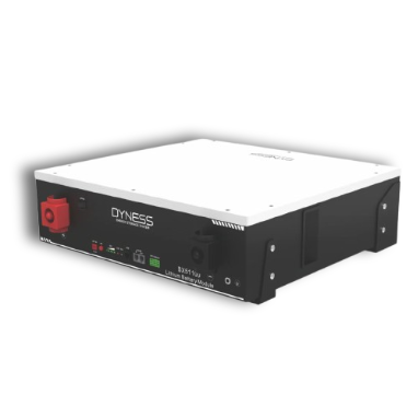 Dyness Lithium Battery 51.2V 100Amp 8000 LifeCycle