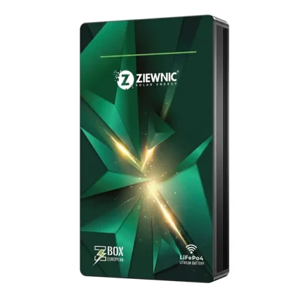 ZIEWNIC BOX EUROPEAN 51.2V 280AH